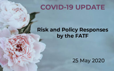 COVID-19: Risk and Policy Responses by the FATF