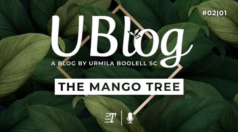 The Mango Tree
