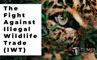 The Fight Against Illegal Wildlife Trade (IWT)