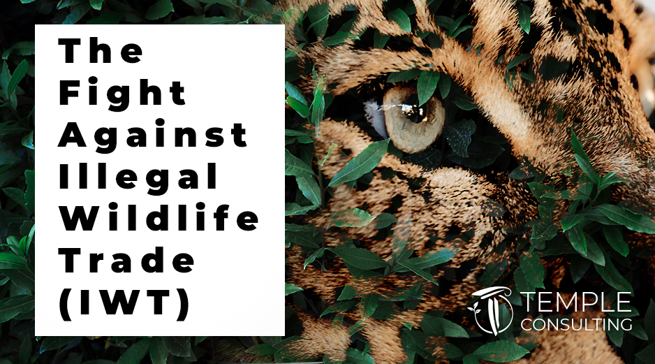 The Fight Against Illegal Wildlife Trade (IWT)