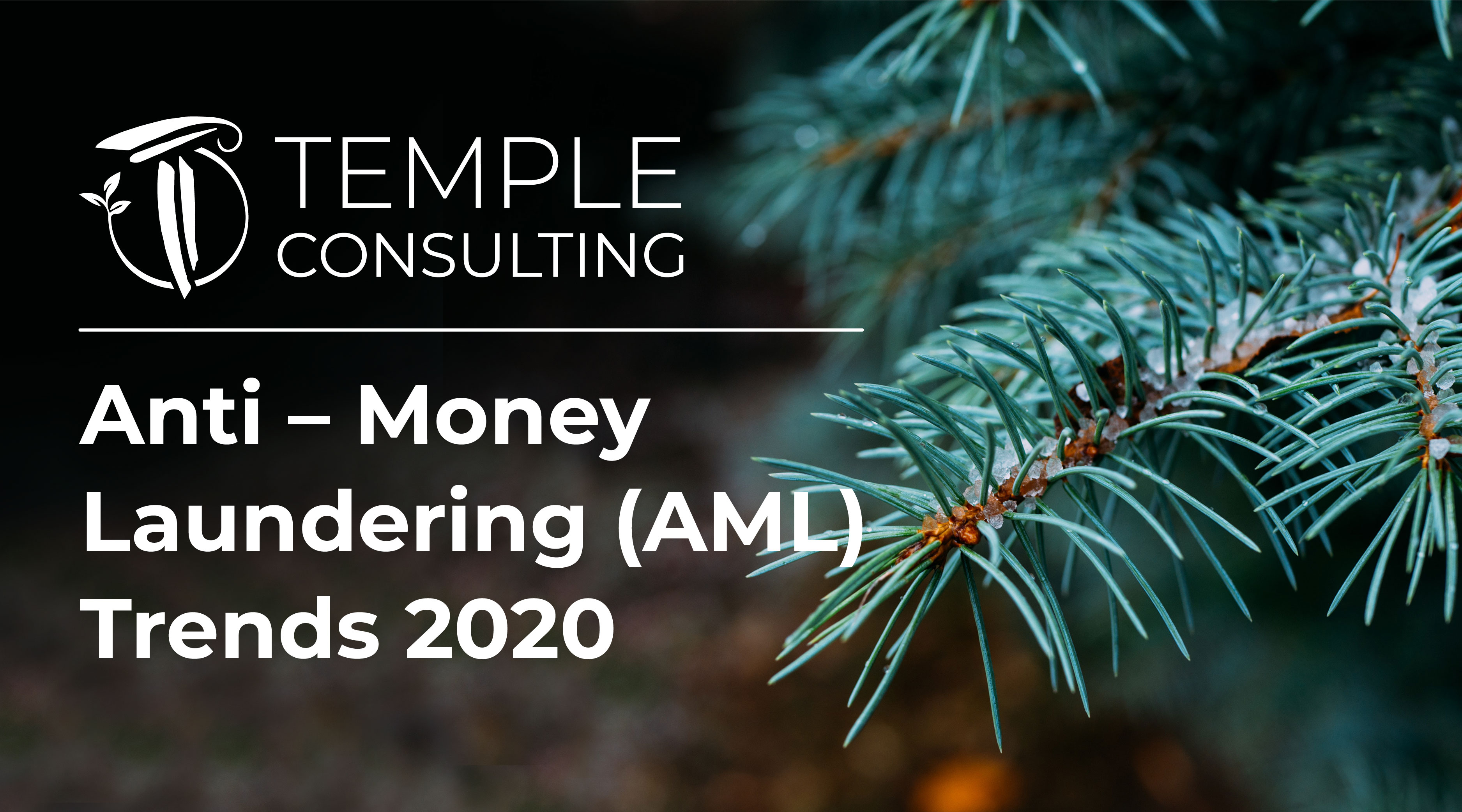 This article is a compilation of the major anti-money laundering and counter terrorist financing (CFT) trends for the year 2020.
