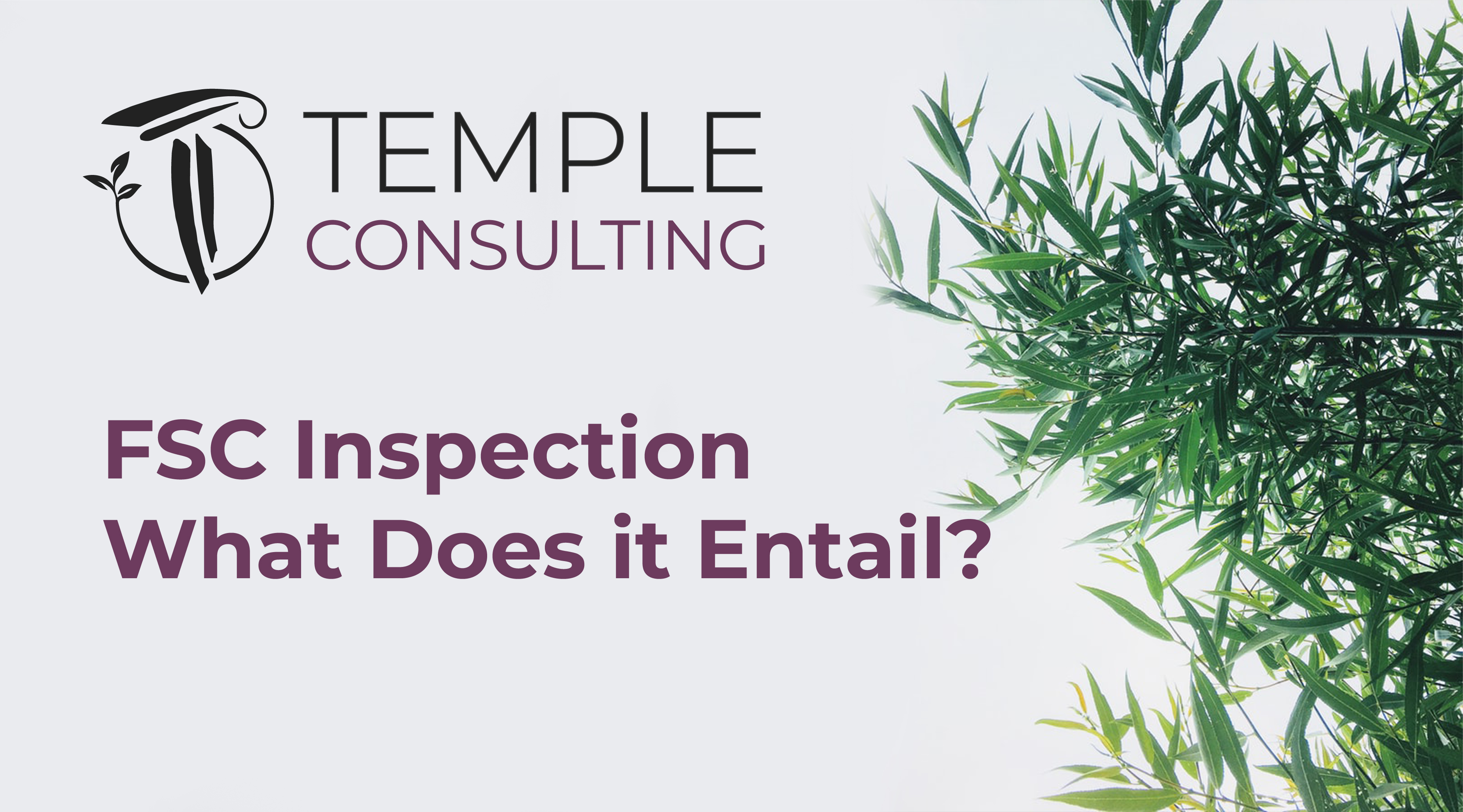 FSC Inspection – What Does it Entail?