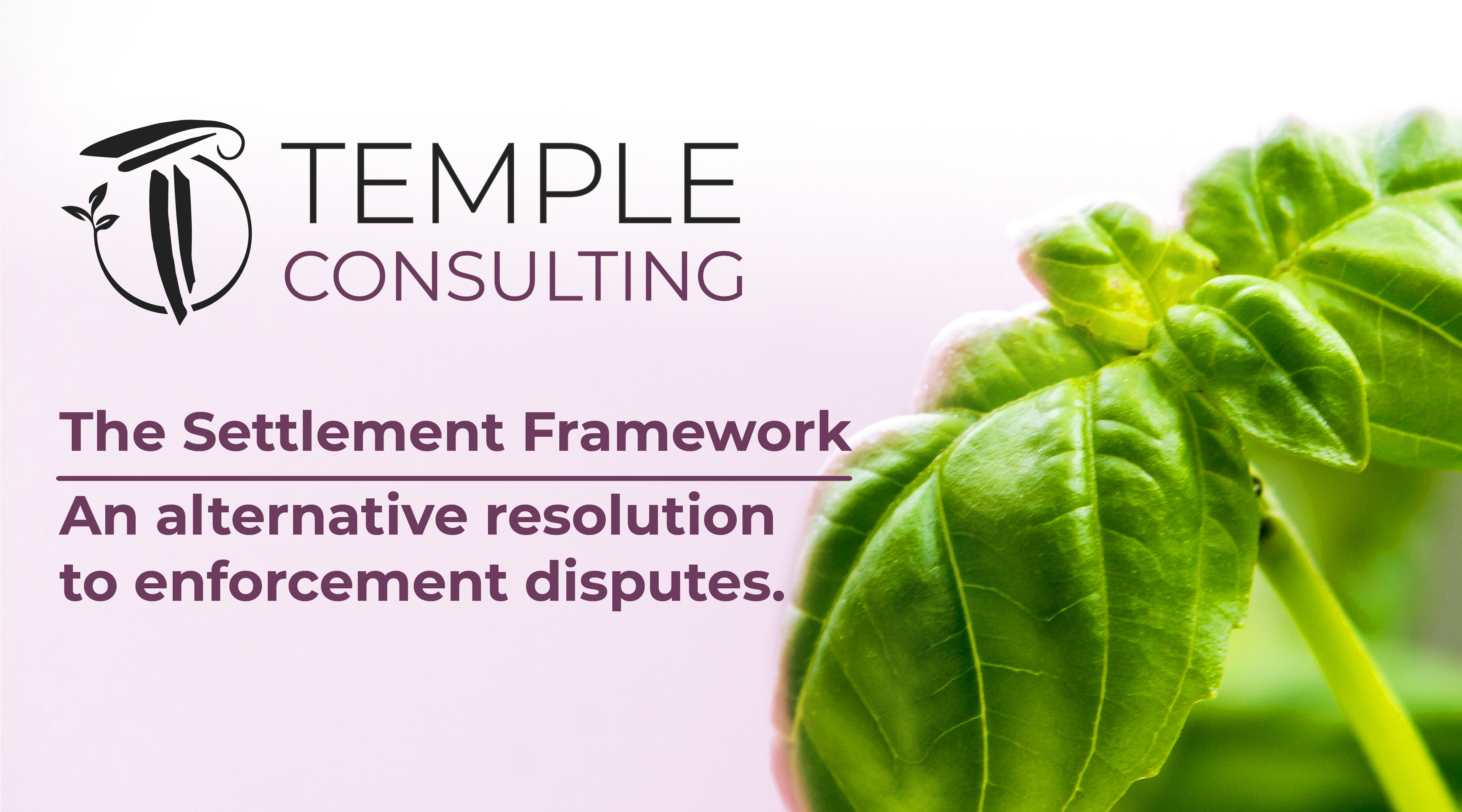 The Settlement Framework – An alternative resolution to enforcement disputes