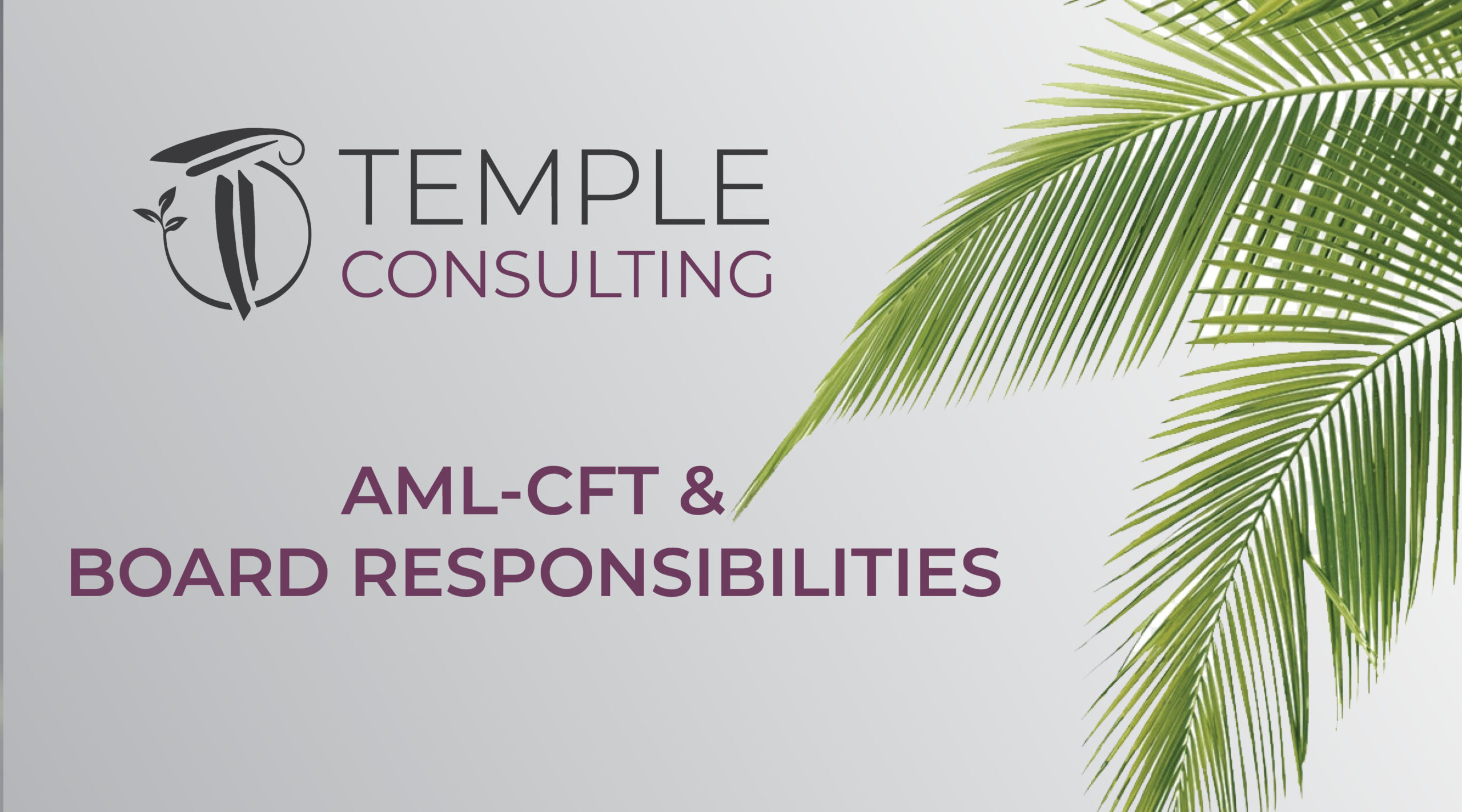 AML-CFT & BOARD RESPONSIBILITIES
